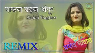Angoor remix song #anjaliraghav #masoomsharma #remixsongs #Djpramodgodaradhanipandusar