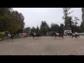 quadrille junioren stall ahorn