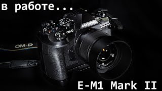 E-M1 Mark II - Начинаю работать..