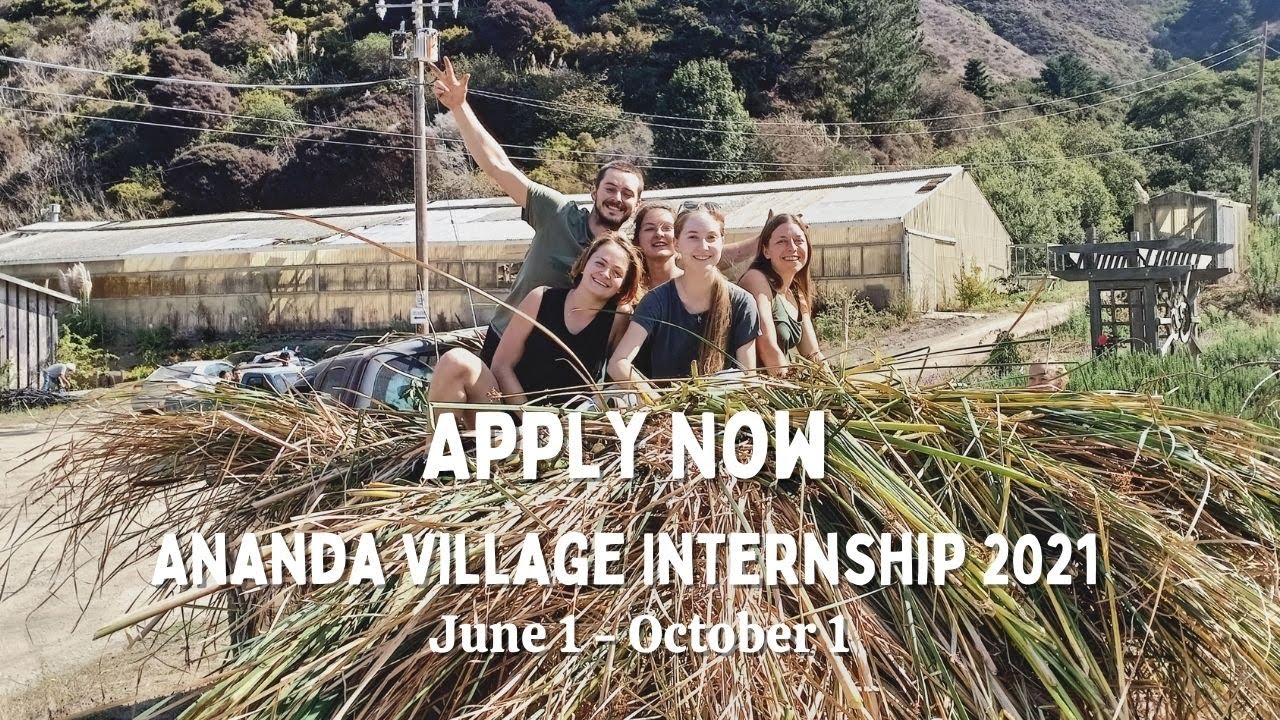 Why Join The Ananda Village Internship Program Interns 2020 Speak