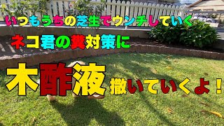 ネコちゃんの“糞”対策に、木酢液試してみるよ！