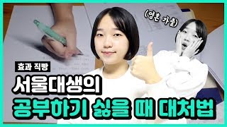 서울대생의 공부하기 싫을 때 대처법 ｜ 공부자극, 공부하고 싶어지는 영상 ｜소린TV