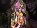 bhaktabandhav radhe kunj vrindavan bhakti religion dham