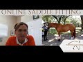 Fitting saddles over the internet during Covid-19 Pandemic |  Equestrian Imports Online Saddle Fit