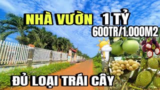 con cái làm ăn nợ nần, chú dũng buộc phải bán nhà Vườn, Lộ nhựa tâm huyết, châu đức Vũng Tàu