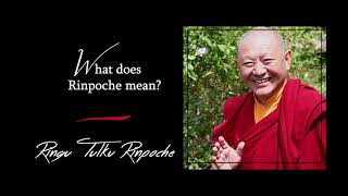 31. What does “Rinpoche” mean? | Answers for Beginners | Ringu Tulku Rinpoche