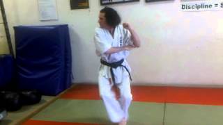 Shidokan Atlanta Karate Training