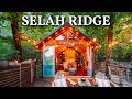 Levi Kelly Visits Cozy Tiny House in the Forest w/ a Bridge!