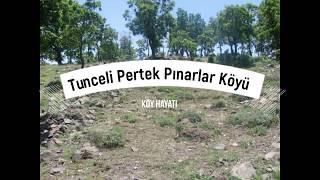 Muhteşem Görüntüler Tunceli Pertek Pınarlar Köyünden... [2] [Gündem Dışı]