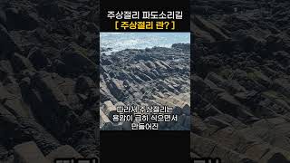 주상절리란? 경주주상절리파도소리길