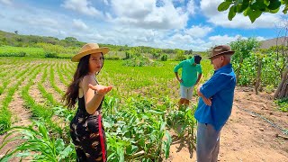 GIRO PELA REGIÃO | MOSTREI A PLANTAÇÃO DE ARROZ DO MEU VIZINHO