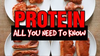 PROTEIN -  How Much? How Often?