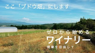 【ワイナリー開業】今から5年かけてワイン用ぶどうを育てる【を目指す！！】