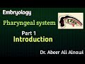 Embryology/ 1- Introduction to the pharyngeal system /Dr. Abeer Ali Alnawi