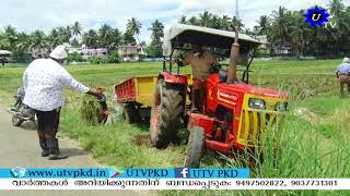 കന്നിക്കൊയ്ത്തിനൊരുങ്ങി നിന്ന കതിര് നിറഞ്ഞ പാടങ്ങളിൽ മഴ ദുരിതം വിതച്ചതോടെ കർഷകർ പ്രതിസന്ധിയിൽ