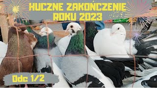 Giełda Zwierząt Lublin 30.12.2023 Gołębie Zamojskie Szariki Bociany Deresze Winery Pocztowe Pawiki