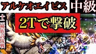 【FFBE】アルケオエイビス(中級)を2Tで攻略【十二種族討伐戦】