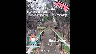 【2024年2月 横浜市鶴見区「馬場花木園」】japanese garden「babakabokuen」in February