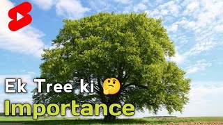 एक पेड़ की कीमत जान लो 😳 | tree important | tree facts |Bhaiya Gyani| #shorts #tree #factsinhindi