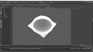 Maya field - radial