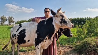 التاجر الفصيح يضرب بقبضه من حديد رد غير متوقع علي الجميع والله ما حد يعرف يعمل كدا ياخلق 💪💪