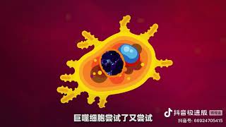 @科学解密局当你被有害物质入侵,巨噬细胞如何保护你? #生命科学 #巨噬细胞 #免疫系统