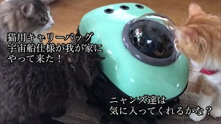 【猫動画】　猫用キャリーバッグ　宇宙船仕様がやってきた！我が家のニャンズ達は気に入ってくれるかな？【猫用キャリーバッグ】【セルカークレックス】【エキゾチックロングヘアー】