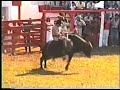 esnar ribeiro no rodeio de colorado pr