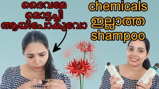 കെമിക്കൽസ് ഇല്ലാത്ത shampoo