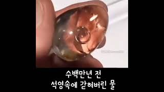 수백만년 석영속에 갇힌 물