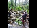 Download 5 СТРАШНЫХ СУЩЕСТВ ИЗ ДЖУНГЛЕЙ АМАЗОНКИ In Mp4 3Gp Full HD Video