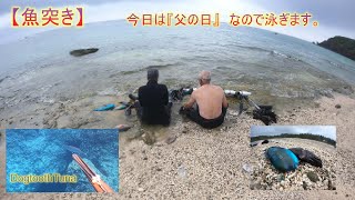 【魚突き】　今日は『父の日』なので泳ぎます。