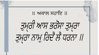 ਤੁਮੑਰੀ ਆਸ ਭਰੋਸਾ ਤੁਮੑਰਾ ਤੁਮੑਰਾ ਨਾਮੁ ਰਿਦੈ ਲੈ ਧਰਨਾ ॥