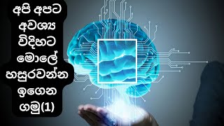 අපි අපට අවශ්‍ය විදිහට මොලේ හසුරවන්න ඉගෙන ගමු (1)