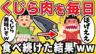 【意外】くじら肉を毎日食べ続けた結果ｗｗ【有益スレ】【ゆっくり解説】