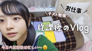 期末テスト2週間前に突入！勉強にお仕事に忙しいJKの放課後Vlog💦