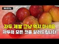 자두 제발 그냥 먹지 마세요! 자두의 모든 것을 알려드립니다 | 대석자두 | 후무사자두 | 도담자두 | 피자두 | 추희자두