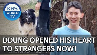 Ddung opened his heart to strangers now! [Dogs are incredible/ENG/2020.05.20]