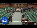 Standing ovation for Lloyd Russell-Moyle during Commons meeting