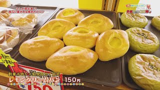 懐かしの味！！愛され続ける焼き立てパン　 三輪電動キックボードで行く！色紙の無い名店探し