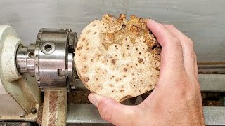 Woodturning - Burl Lid!! 【職人技】銘木で蓋作り　#shorts