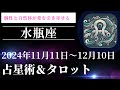 【水瓶座 2024年11月11日～12月10日運勢】“あなた”の未来を変える星とタロットの自由なメッセージ★Aquarius Nov. 11th - Dec. 10th 2024 Horoscope