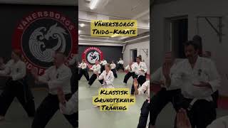 Klassisk grundteknik träning Taido-Karate #taido #karate #martialarts @VanersborgsTaido-Karate