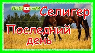 Селигер. Последний день. Отъезд