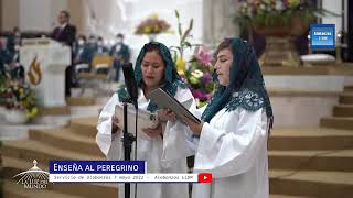 enseña al peregrino canto lldm