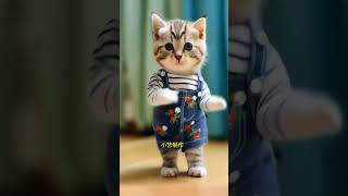 #Ep308 ❤😻🐾Cute kitten #cat #lovecats #cats #catvideos #kittens #catlover #princesscat #kitten