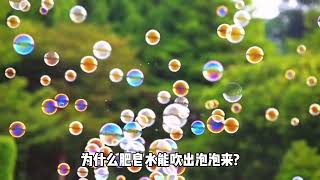 十万个为什么【科学篇】为什么肥皂水能吹出泡泡来?