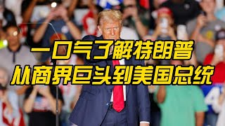 一口气了解特朗普：从商界巨头到美国总统，特朗普的总统生涯全解析：他的政策与影响如何改变美国和世界？