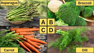 ABC Vegetables | Learn Alphabet from A to Z | Veggies for Kids