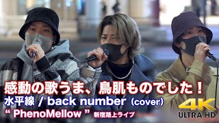 【  歌うま！】感動の歌うま、鳥肌ものでした！　水平線 / back number（cover） \